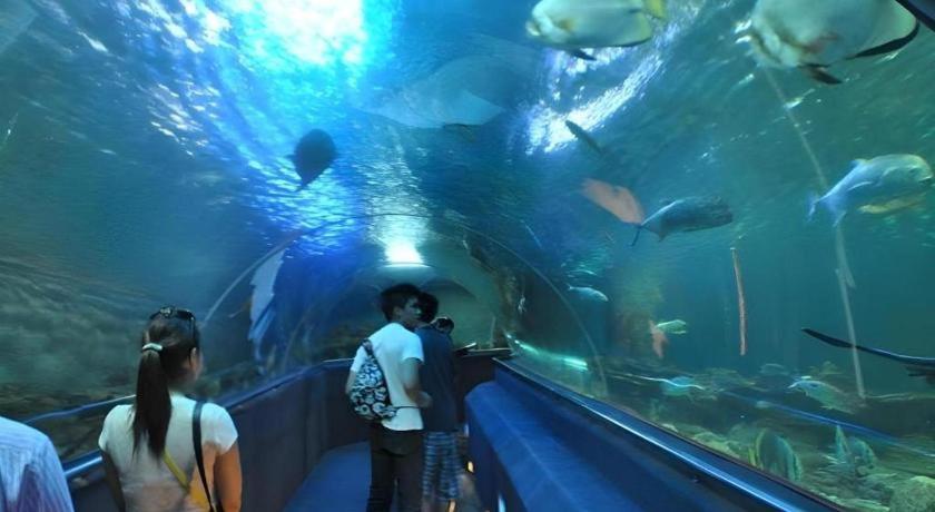 Vinpearl Discovery Rockside Nha Trang Eksteriør billede